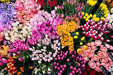 缉毒题材互动影像作品《晨昏线》定档1月10日，善恶殊途，只在你一念之间